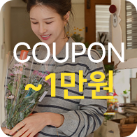 2�� ����